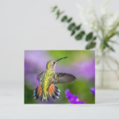Hummingbird in Purple Flowers Postkarte (Stehend Vorderseite)