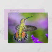 Hummingbird in Purple Flowers Postkarte (Vorne/Hinten)