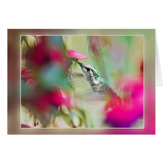 Hummingbird in Soft Fuchsia (Vorderseite (Horizontal))