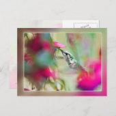 Hummingbird in Soft Fuchsia Postkarte (Vorne/Hinten)