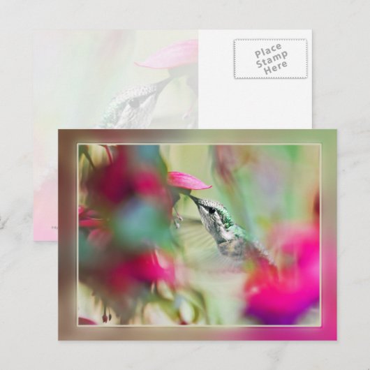 Hummingbird in Soft Fuchsia Postkarte (Vorne/Hinten)