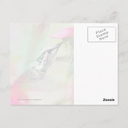 Hummingbird in Soft Fuchsia Postkarte (Rückseite)