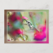 Hummingbird in Soft Fuchsia Postkarte (Vorderseite)