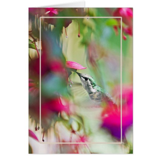 Hummingbird in Soft Fuchsia Vertical. (Vorne)