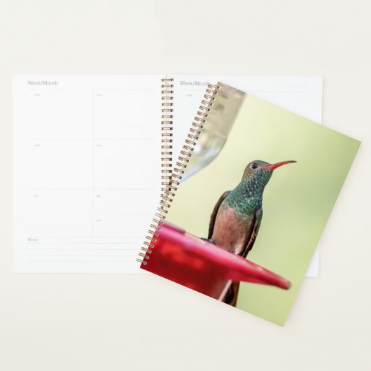 Hummingbird in Texas 2024 Planer (Anzeige)