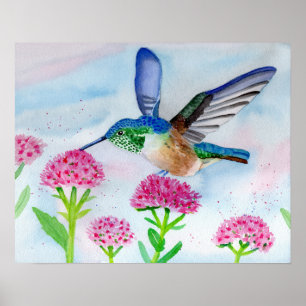 Hummingbird in Wasserfarbe Poster