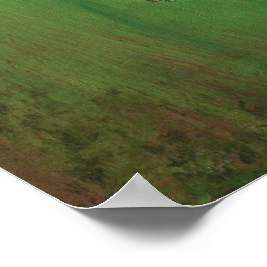 Hummingbird Ink Poster (Ecke)