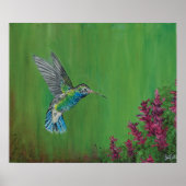 Hummingbird Ink Poster (Vorne)