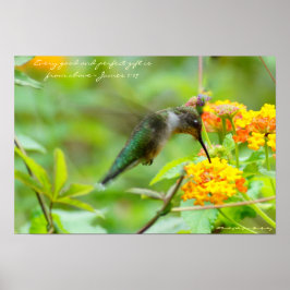 Hummingbird ~ Jedes gute und perfekte Geschenk.. Poster
