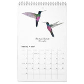 Hummingbird-Kalender Kalender (Feb 2027)
