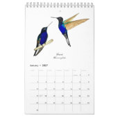 Hummingbird-Kalender Kalender (Jan 2027)