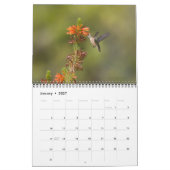 Hummingbird-Kalender Kalender (Jan 2027)