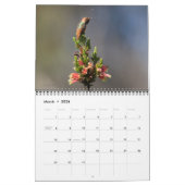 Hummingbird-Kalender Kalender (Mär 2026)