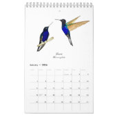 Hummingbird-Kalender Kalender (Jan 2026)