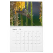 Hummingbird-Kalender mit einzigartigen Bildern Kalender (Feb 2026)
