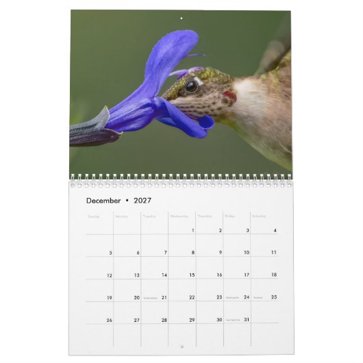 Hummingbird-Kalender mit einzigartigen Bildern Kalender (Dez 2027)