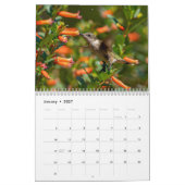 Hummingbird-Kalender mit einzigartigen Bildern Kalender (Jan 2027)