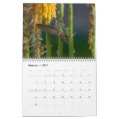 Hummingbird-Kalender mit einzigartigen Bildern Kalender (Feb 2027)