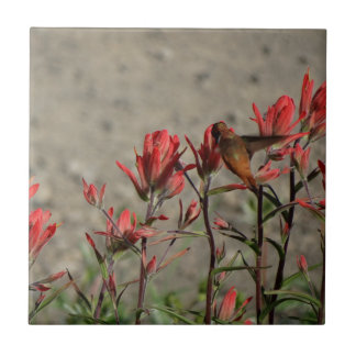 Hummingbird-Kardinal-Blume Fliese