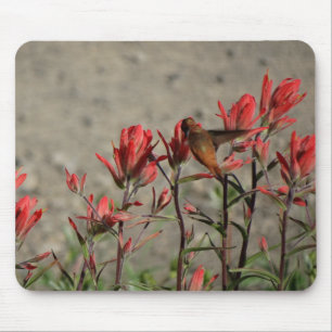 Hummingbird-Kardinal-Blume Mousepad