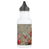 Hummingbird-Kardinal-Blume Trinkflasche (Links)