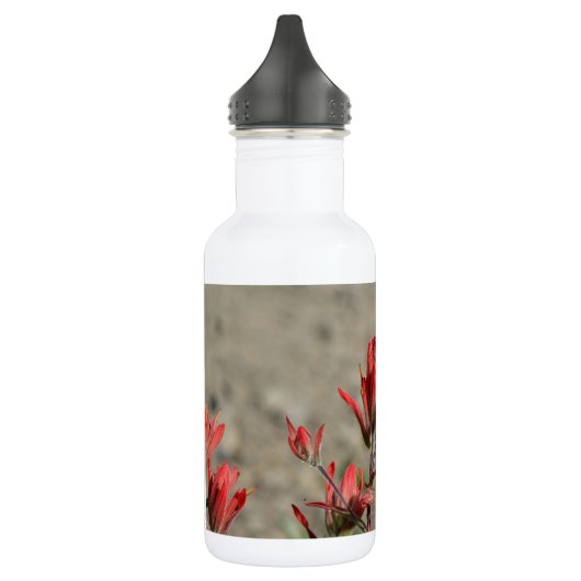 Hummingbird-Kardinal-Blume Trinkflasche (Links)