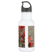 Hummingbird-Kardinal-Blume Trinkflasche (Rückseite)