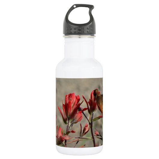 Hummingbird-Kardinal-Blume Trinkflasche (Vorderseite)