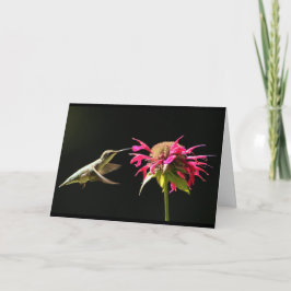 Hummingbird-Karte Denken Sie an Sie Karte