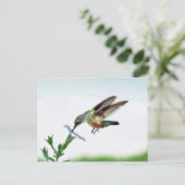 Hummingbird-Karte Postkarte (Stehend Vorderseite)