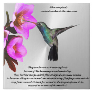 HUMMINGBIRD-Keramik Fliese