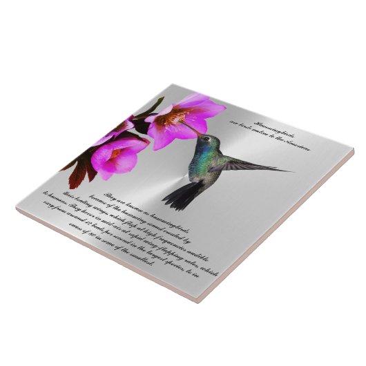 HUMMINGBIRD-Keramik Fliese (Seite)