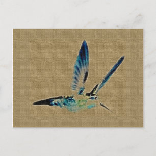 Hummingbird King Postcard Postkarte