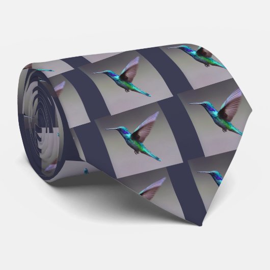 Hummingbird Krawatte (Gerollt)