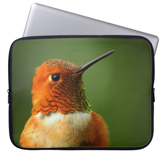 Hummingbird Laptop Sleeve (Vorderseite)