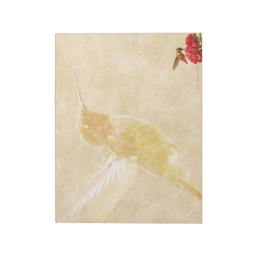 Hummingbird - LARGE Notepad/Memo Pad Notizblock (Rotiert)