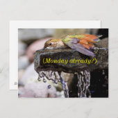 Hummingbird lehren im Wasser Postkarte (Vorne/Hinten)