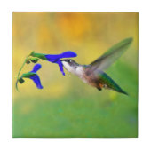 Hummingbird Lunch Fliese (Vorderseite)