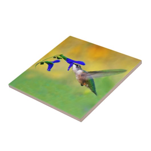 Hummingbird Lunch Fliese (Seite)