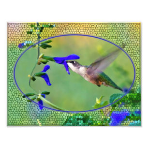 Hummingbird Lunch Illustration Fotodruck