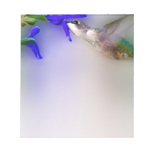 Hummingbird Lunch Notizblock (Vorderseite)
