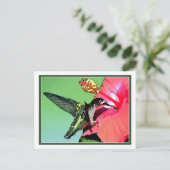 Hummingbird Lunch Postkarte (Stehend Vorderseite)