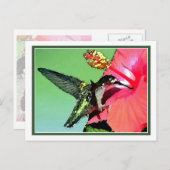 Hummingbird Lunch Postkarte (Vorne/Hinten)