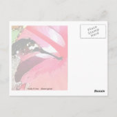 Hummingbird Lunch Postkarte (Rückseite)