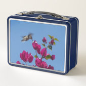 Hummingbird Lunchbox (Vorderseite)