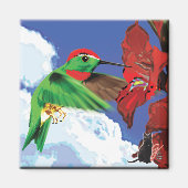 Hummingbird Magnet (Vorne)