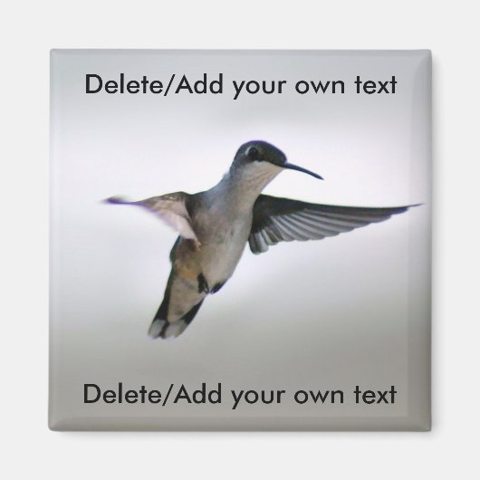 Hummingbird Magnet (Vorne)