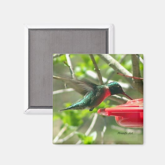 Hummingbird Magnet (Vorderseite/Rückseite)