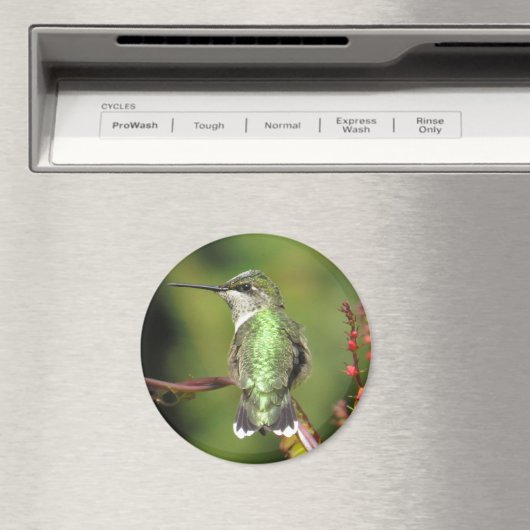 Hummingbird Magnet (In Situ (Geschirrspüler))