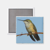 Hummingbird. Magnet (Vorderseite/Rückseite)